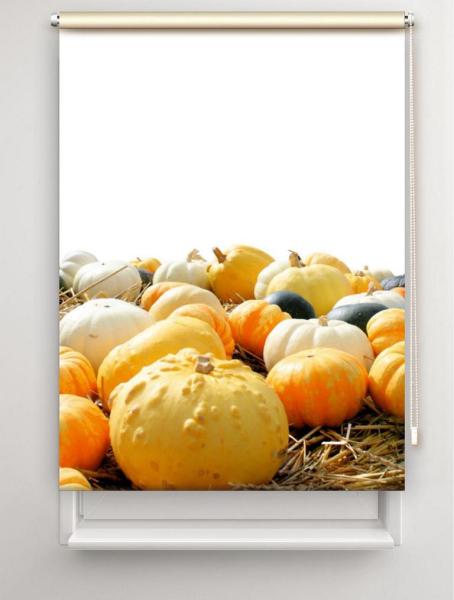 Rollo Kürbiszeit, Rollo, Motivrollo, Rollo mit Druck, Fotorollo, bedrucktes Rollo, Fensterrollo,verdunkelndes Rollo, Sonnenschutz Rollo